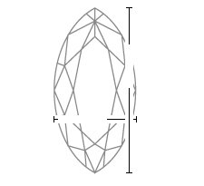 top view